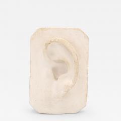 Artists Plaster Model of an Ear circa 1880 - 3930804