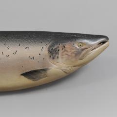 Atlantic Salmon - 408403