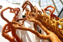 Aude Franjou Orange vine - 4404088