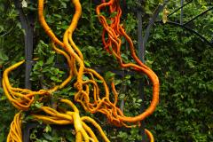 Aude Franjou Orange vine - 4404090