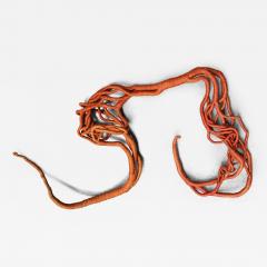 Aude Franjou Orange vine - 4404186