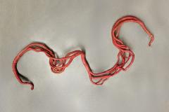 Aude Franjou Pale red vine I - 4404072