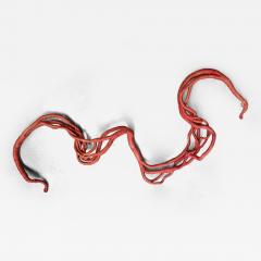 Aude Franjou Pale red vine I - 4404185