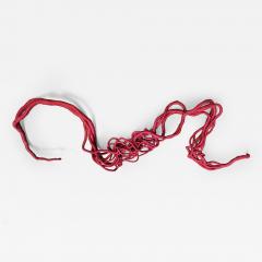 Aude Franjou Pink vine I - 4404187