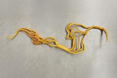 Aude Franjou Yellow degraded vine I - 4404078