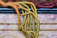 Aude Franjou Yellow degraded vine I - 4404100