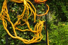 Aude Franjou Yellow degraded vine I - 4404101