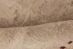 Authentic 19th Century Indian Agra Handmade Wool Carpet - 2461396