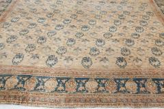 Authentic Early 20th Century Persian Tabriz Botanic Handmade Wool Rug - 2453523