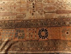Authentic Persian Bakhtiari Handmade Wool Rug - 2445545