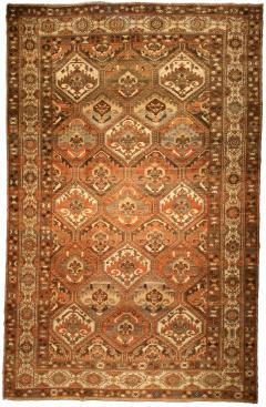 Authentic Persian Bakhtiari Handmade Wool Rug - 2447842