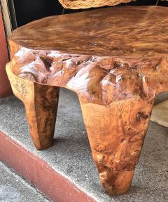 Awesome Tree trunk sturdy solid organic brutalist coffee table - 2667125