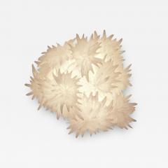 Ayala Serfaty TARA III 2022 - 3895557