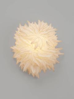 Ayala Serfaty TARA LEHDU - 3894022