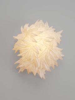 Ayala Serfaty TARA LEHDU - 3894024