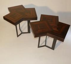 Aymeric Lefort Pair of Coffee Or End Table Cubes in Macassar Ebony Marquetery by A Lefort - 4109439