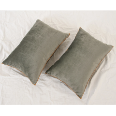 B VIZ Pair of Antique Raised Metallic Embroidery Pillows - 2849844