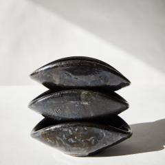 BLACK CERAMIC DISHES - 2917143