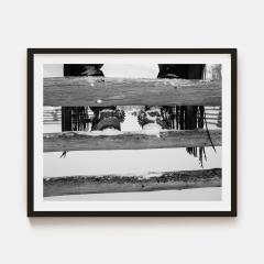 Beau Simmons Ways Of The West - 3334351