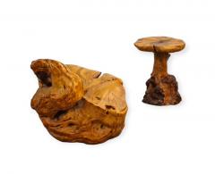 Beautiful Organic Finnish Burl Set of a Chair and Side Table Finland 1950s - 4230818