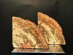 Beautiful Pair of Petrified Wood Bookends - 410940