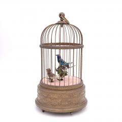 Belle Epoque Swiss Bird Automaton circa 1900 - 3106816