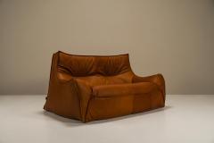Bernard Govin Two Seater Sofa Model Satan By Bernard Govin For Ligne Roset France 1970s - 3240960