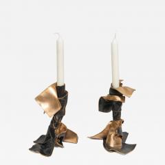 Bespoke Bronze Candelabra Les Fleurs du Mal - 4095515