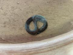 Betty Cobonpue Fabulous Coastal Modern Pair Betty Cobonpue Barrel Back Wicker Lounge Chairs - 4443233