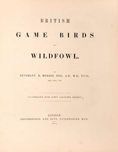 Beverley MORRIS British Game Birds and Wildfowl by Beverley MORRIS - 3885845