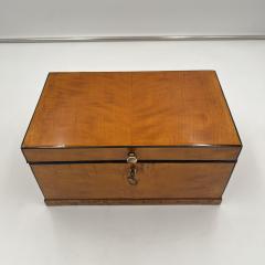 Biedermeier Box Birch Brass South Germany circa 1830 - 3914211