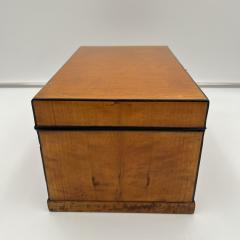 Biedermeier Box Birch Brass South Germany circa 1830 - 3914218