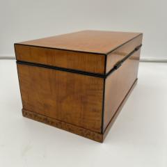 Biedermeier Box Birch Brass South Germany circa 1830 - 3914219