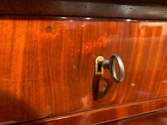 Biedermeier Display Cabinet Vitrine Mahogany French Polish Germany 19th c  - 1539193