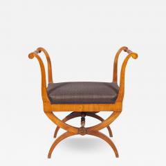 Biedermeier Fruitwood Bench - 3801089