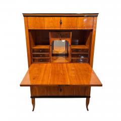 Biedermeier Secretaire Cherry Veneer Mahogany South Germany circa 1820 - 3259983