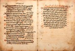 Bilingual Coptic Arabic Psalter  - 3905074