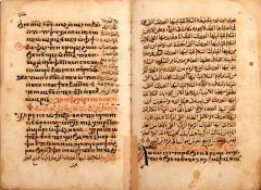 Bilingual Coptic Arabic Psalter  - 3905078