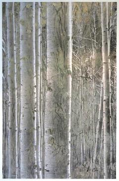 Bill Claps Aspen Stand Positive - 4461307