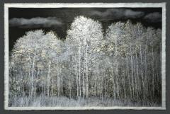 Bill Claps Aspens at Wood River - 3431498
