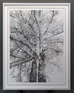 Bill Claps Brothers of Val Fex - 4453640