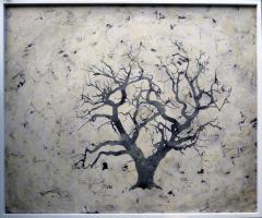 Bill Zima Sea Of Trees - 898228