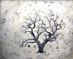 Bill Zima Sea Of Trees - 898229