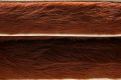 Billy Baldwin Pair of Billy Baldwin Style X Stools in Cinnamon Cowhides Ivory Leather c 1970 - 4557591