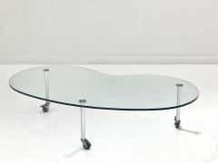 Biomorphic Glass Top Coffee Table - 3000670