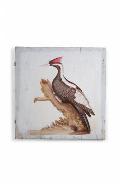 Black And Red Crested Pileated Woodpecker Painting - 3176691