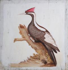 Black And Red Crested Pileated Woodpecker Painting - 3206014