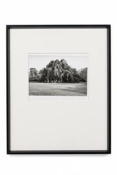 Black And White Photograph Of A Tree In A Landscape - 3174082