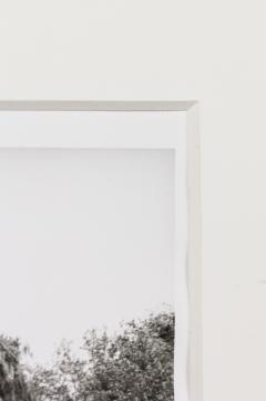Black And White Photograph Of A Tree In A Landscape - 3174085