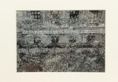Black And White Photograph Of Streetscape With Flowering Tress - 3173887